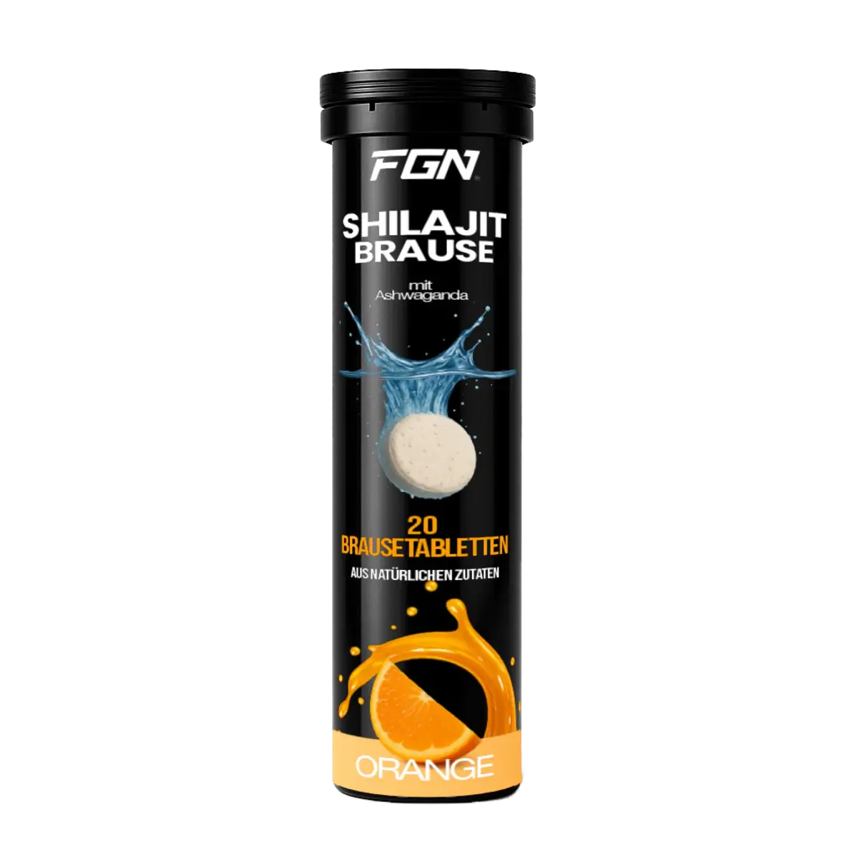 FGN Shilajit 20 Brausetabletten