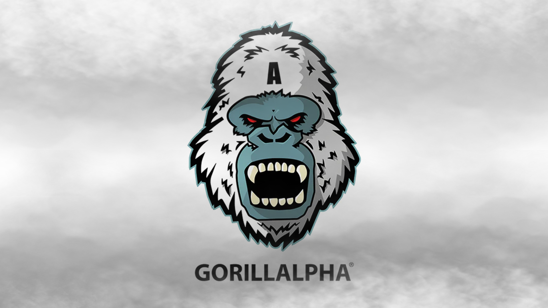 Gorilla Alpha